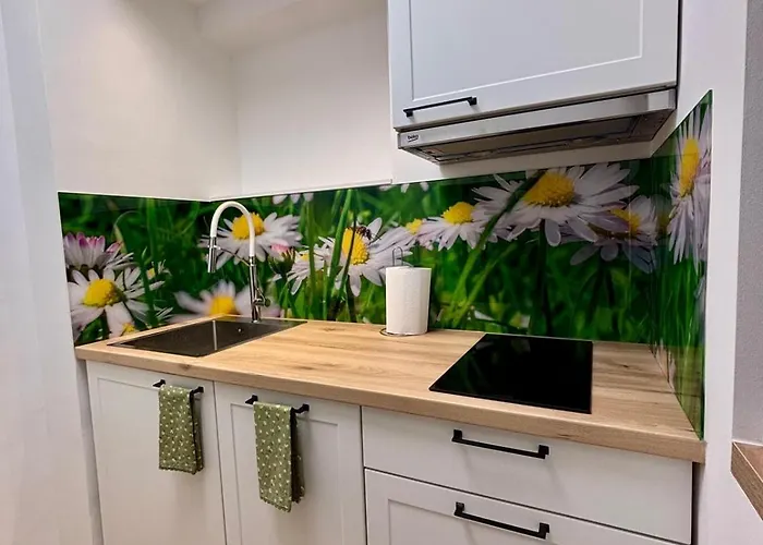 Center Oasis Apartment